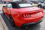 2024 Ford Mustang EcoBoost Premium Convertible